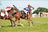 UKPA NC SAT_2195